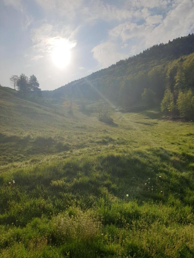 Agreable Chambre D'Hotes, Au Calme, Dans La Nature Roches ภายนอก รูปภาพ