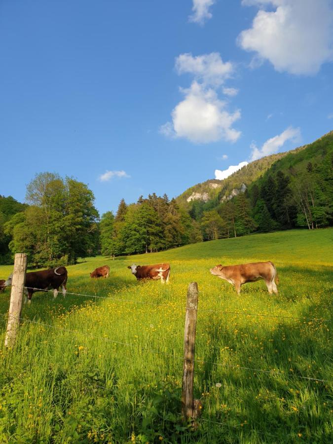 Agreable Chambre D'Hotes, Au Calme, Dans La Nature Roches ภายนอก รูปภาพ