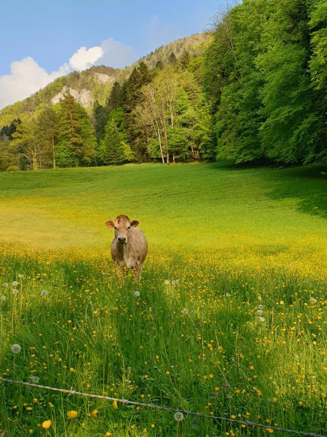 Agreable Chambre D'Hotes, Au Calme, Dans La Nature Roches ภายนอก รูปภาพ